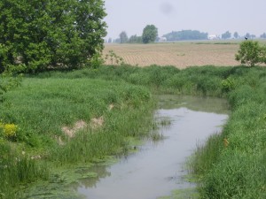 Cornwall stream