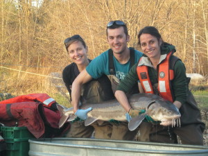 The first prize sturgeon - 109 cm.