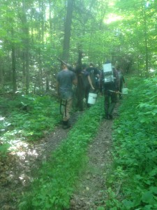 image_1