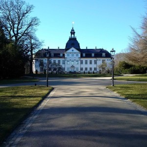 DTU site