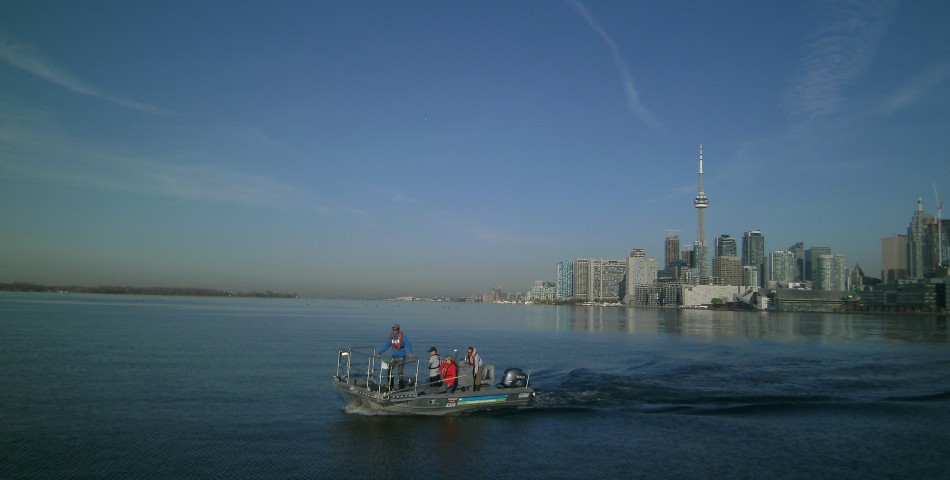 Spatial ecology of fish in Toronto Harbour Project Image
